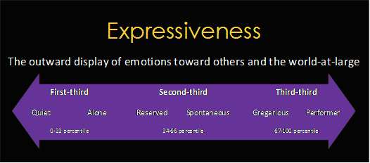 Expressiveness